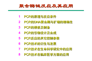 聚合酶链反应及其应用.ppt