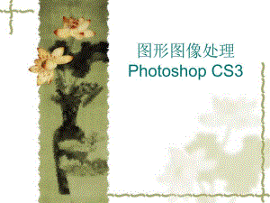 PS知识第一章初识PhotoshopCS3.ppt