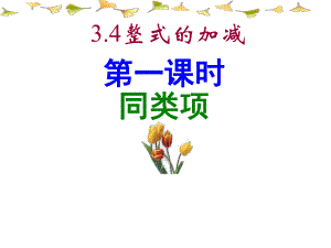 3.4整式的加减同类项.ppt