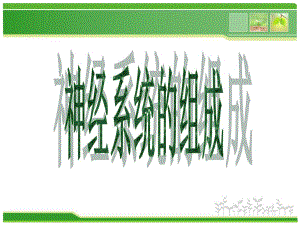 462神经系统的组成24.ppt