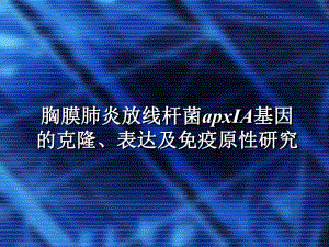 胸膜肺炎放线杆菌apxA基因的克隆表达及免疫原性研究.ppt