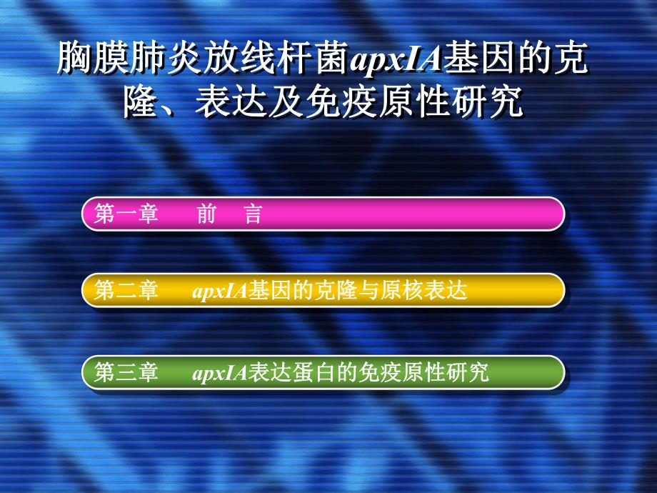 胸膜肺炎放线杆菌apxA基因的克隆表达及免疫原性研究.ppt_第2页