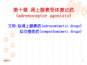 肾上腺素激动药和阻断药.ppt