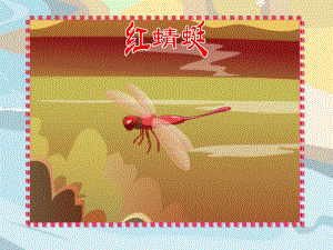 3红蜻蜓课件.ppt