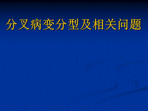 分叉病变分型ppt课件.ppt