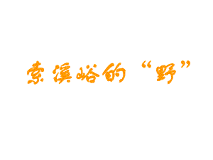 4.索溪峪的“野”.ppt.ppt