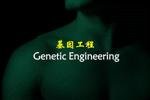 第三章大肠杆菌基因工程3.ppt