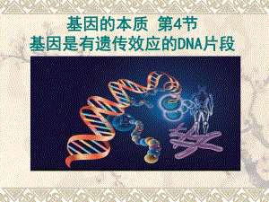 3.4基因是有遗传效应的DNA片段课件高亨波.ppt
