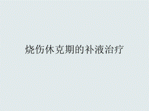 烧伤休克补液.ppt