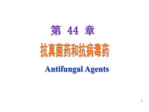 第44章抗真菌药.ppt