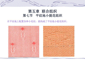 大学课件联合组织平纹地小提花组织.ppt