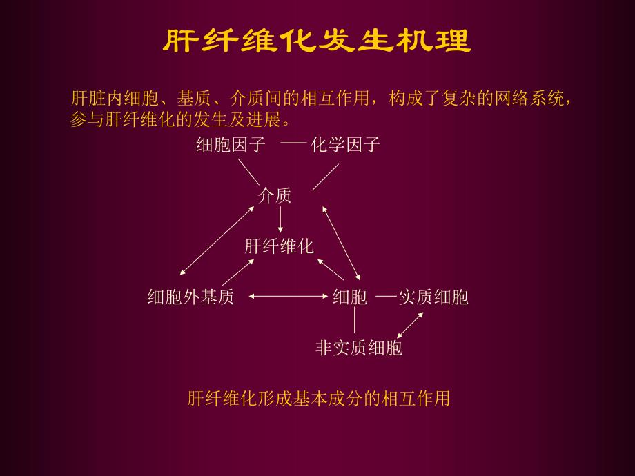 肝纤维化讲座.ppt_第3页