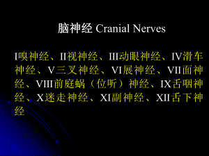 脑神经植物神经.ppt