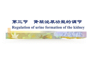 肾脏泌尿功能的调节.ppt