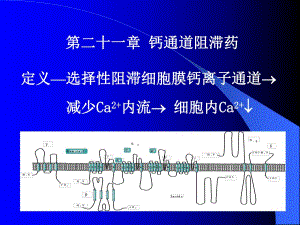 药理学第21章钙通道阻滞药.ppt