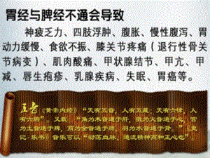 足阳明胃经课件.ppt