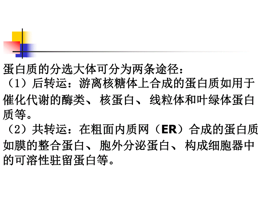 蛋白质分选的基本途径与类型.ppt_第2页