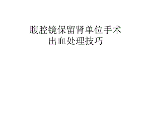 腹腔镜保留肾单位.ppt
