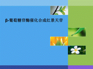 葡萄糖苷酶催化合成红景天苷.ppt