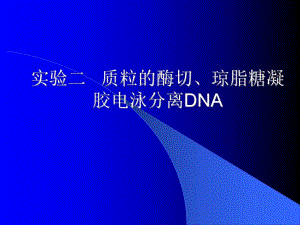 质粒的酶切琼脂糖凝胶电泳分离DNA.ppt