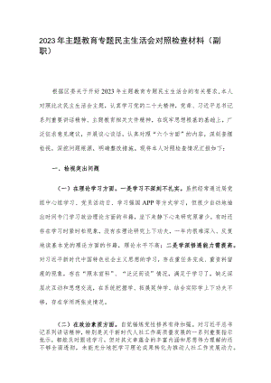 2023年主题教育专题民主生活会对照检查材料（副职）.docx