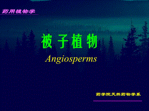 药植被子植物本.ppt