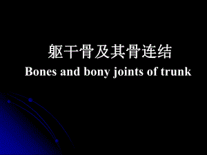 躯干骨及其骨连结.ppt
