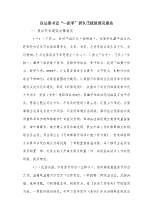 政法委书记“一把手”抓队伍建设情况报告.docx