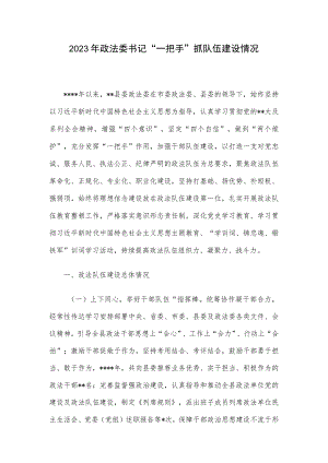 2023年政法委书记“一把手”抓队伍建设情况.docx