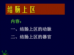 腹部结肠上下区.ppt
