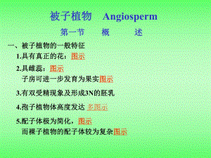 被子植物课件竞赛辅导.ppt