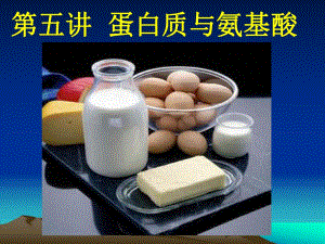 蛋白质与健康.ppt