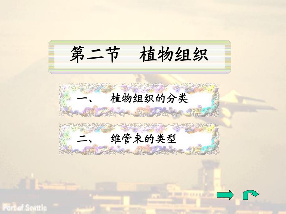 药用植物学专科课件二植物组织.ppt_第1页