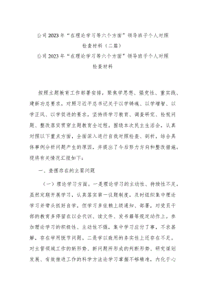公司2023年“在理论学习等六个方面”领导班子个人对照检查材料(二篇).docx