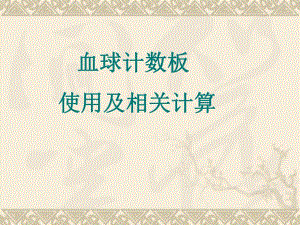 血球计数板使用及相关计算.ppt