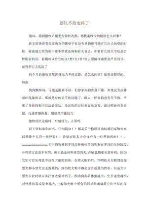 德牧不能走路了.docx