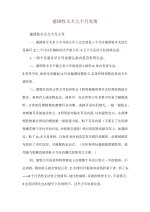 德国牧羊犬几个月发情.docx