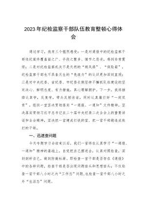 2023纪检监察干部队伍教育整顿心得体会研讨发言稿(5篇).docx