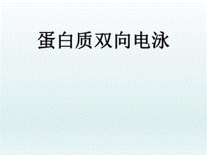 蛋白质双向电泳.ppt