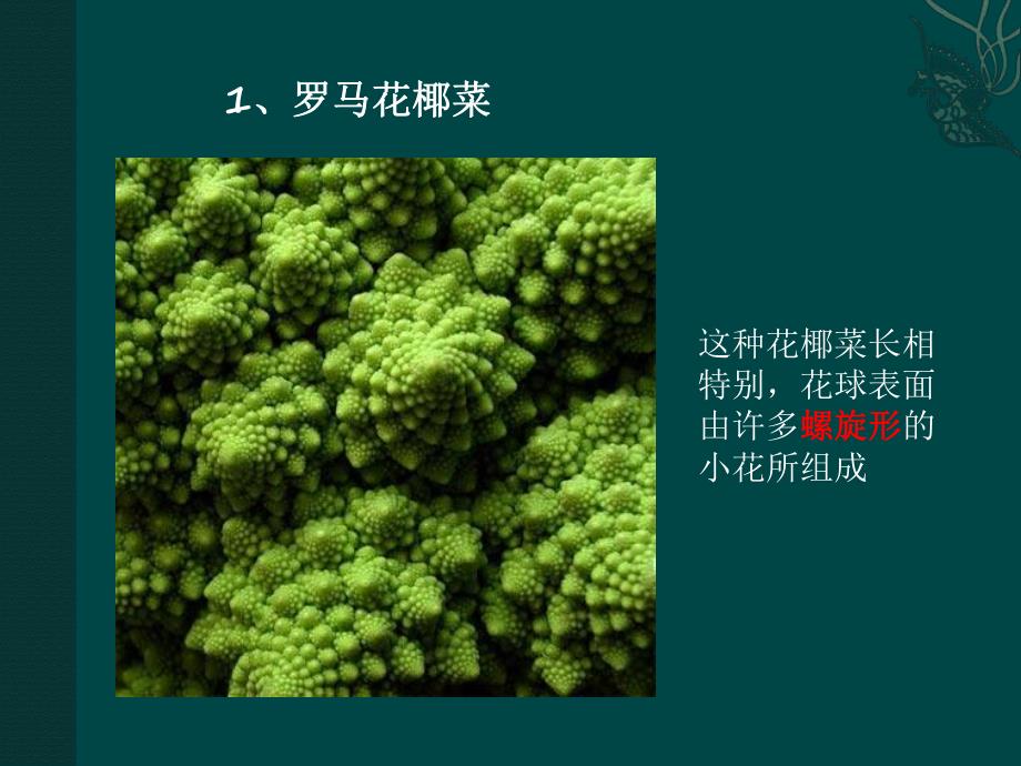 自然界十大奇异植物.ppt_第2页