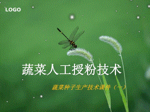 蔬菜人工授粉技术.ppt