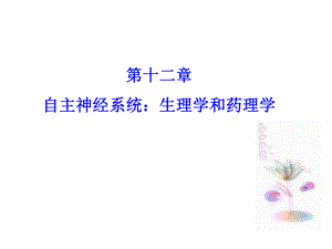 自主神经系统.ppt