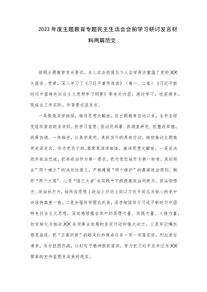 2023年度主题教育专题民主生活会会前学习研讨发言材料两篇范文.docx