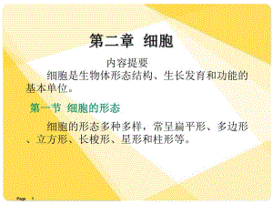 解剖学课件细胞.ppt
