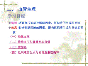 血管生理及心血管的调节.ppt