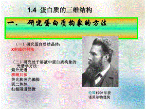 蛋白质的三维结构.ppt