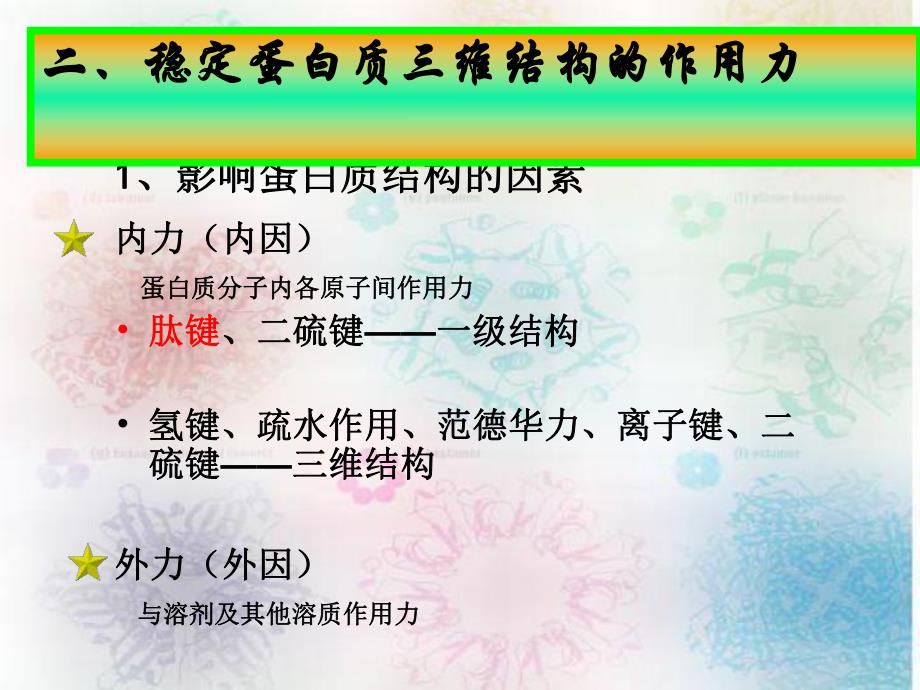 蛋白质的三维结构.ppt_第2页