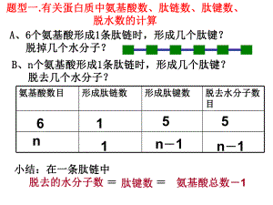 蛋白质计算题.ppt