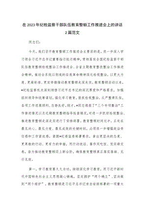 在2023年纪检监察干部队伍教育整顿工作推进会上的讲话2篇范文.docx