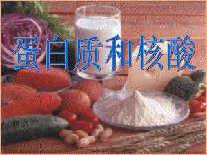 蛋白质和核酸2.ppt